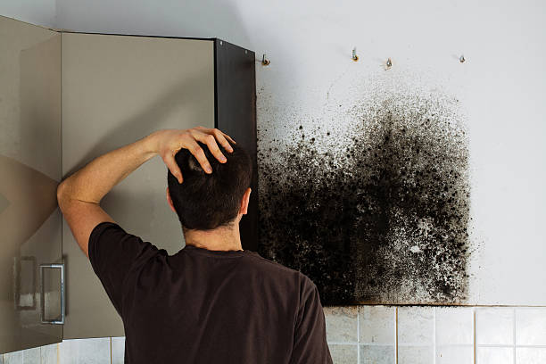 Professional Mold Remediation in Elkhart, IN